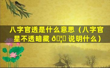 八字官透是什么意思（八字官星不透暗藏 🦉 说明什么）